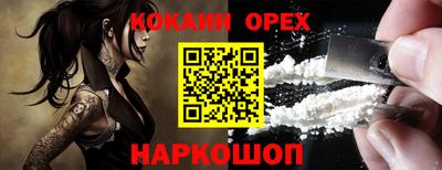 гашик Донской