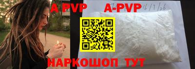 гашик Донской