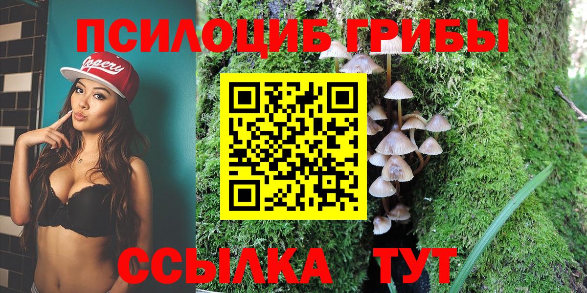 как найти   Галлюциногенные грибы Magic Shrooms  Вход с VPN  Псилоцибиновые грибы Psilocybine cubensis  Нальчик 