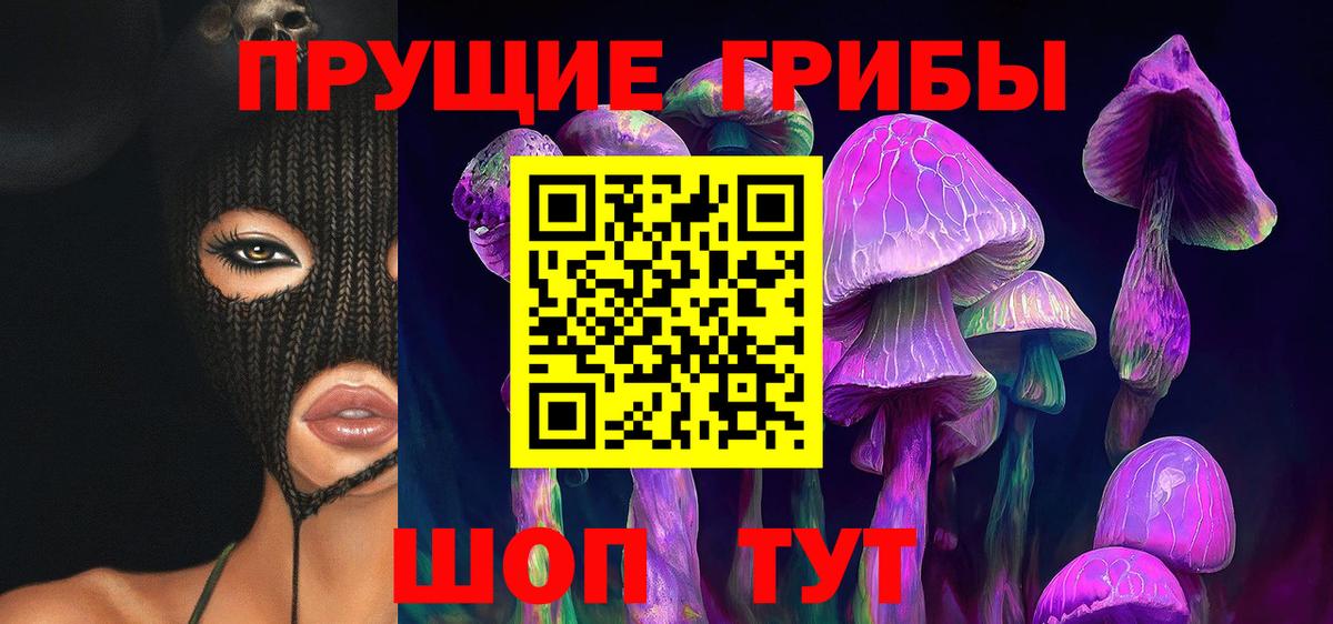 Галлюциногенные грибы Cubensis Нальчик